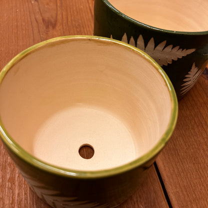 ITEM 125: OLYMPIC PENINSULA ceramic fern pots