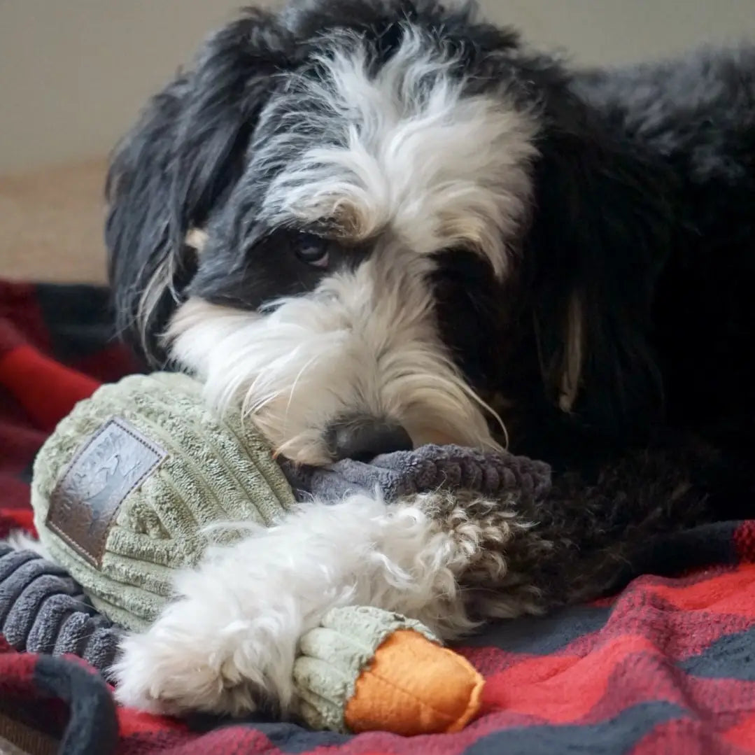 PLUSH DUCK dog toy