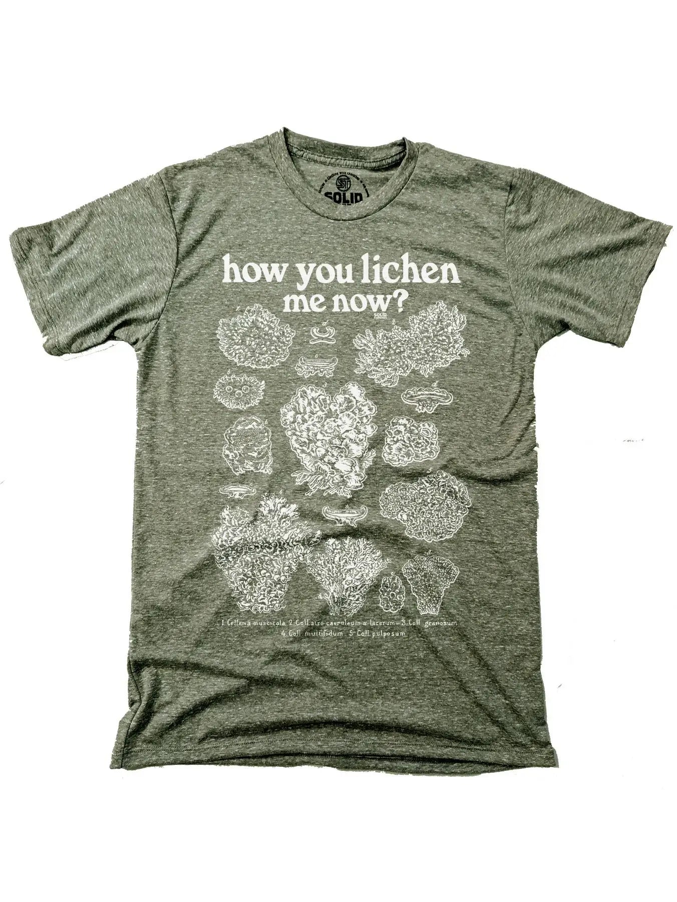 HOW YOU LICHEN ME NOW tee