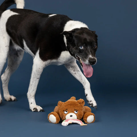 BEAR NECESSITIES dog toy