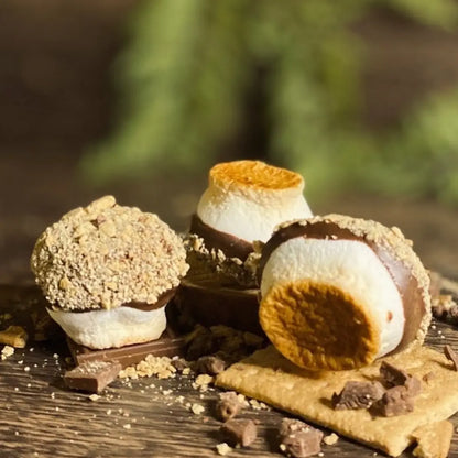 FIRESIDE freeze dried s'mores