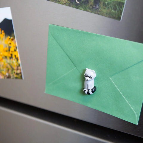 RACCOON magnets 4-pack