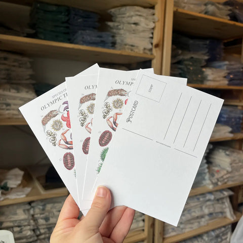 OLYMPIC TIDE POOLS postcard
