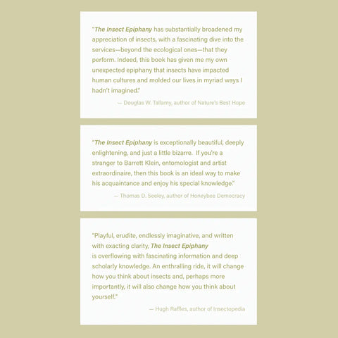 THE INSECT EPIPHANY book