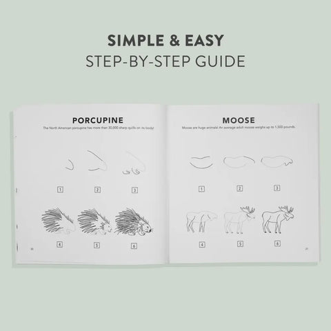 HOW TO DRAW WOODLAND CREATURES book