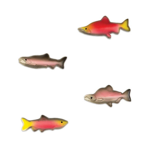 SALMON magnets 4-pack