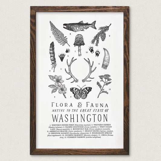 WA FIELD GUIDE poster