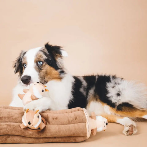 BURROW LOG dog toy