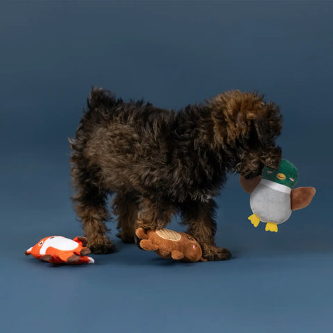 BOAT-LOADS OF FUN 3-piece dog toys