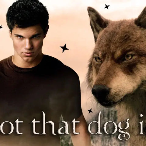 I GOT THAT DOG IN ME sticker