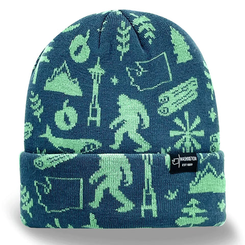 WASHINGTON ICONS beanie