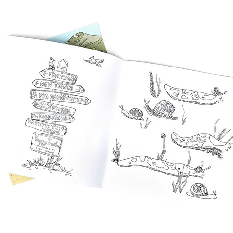 WILD LIFE CAMP COLORING book