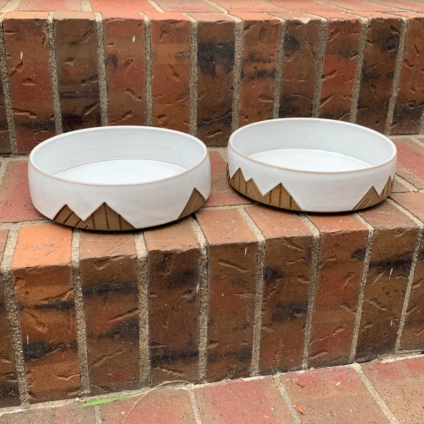 MOUNTAIN HOUND ceramic dog dish