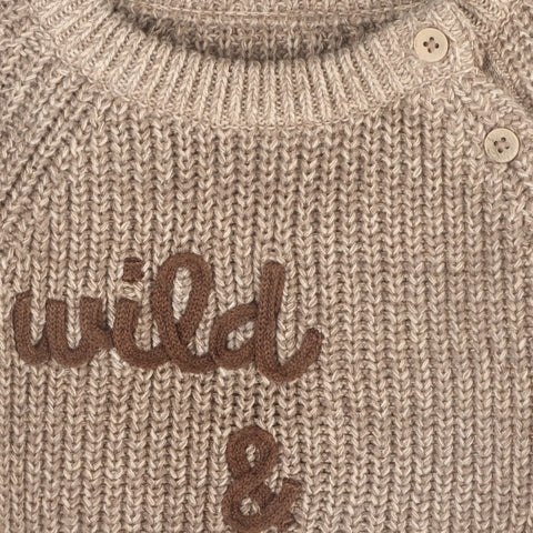 WILD & FREE chunky knit baby sweater