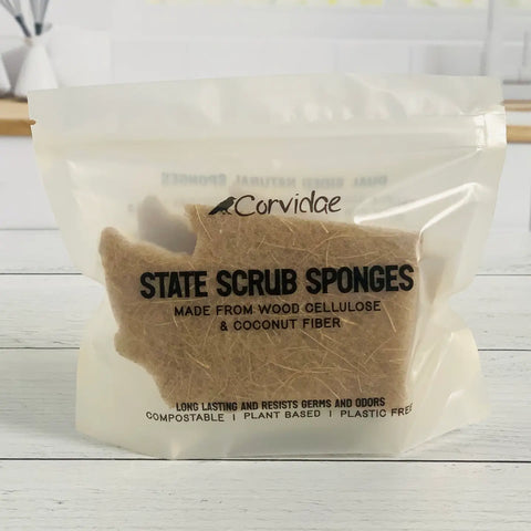 WA SCRUBBY 2-pack sponge