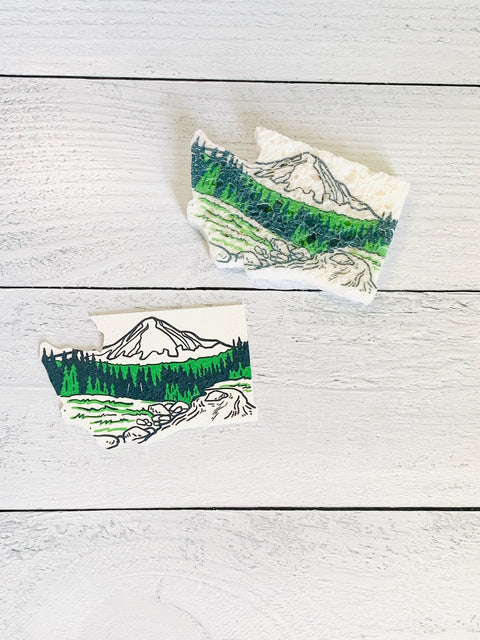 WA COMPOSTABLE 3-sponge set