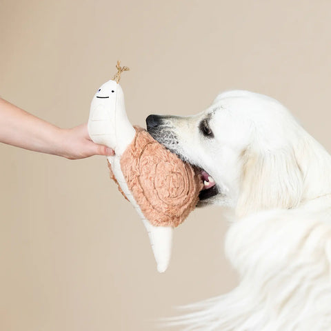 SNAIL'S PACE dog toy