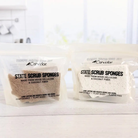 WA SCRUBBY 2-pack sponge