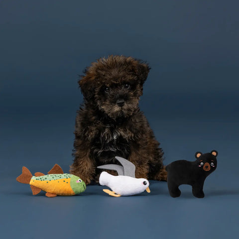 LAKE CRUISERS 3-piece dog toys