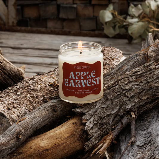 APPLE HARVEST soy candle