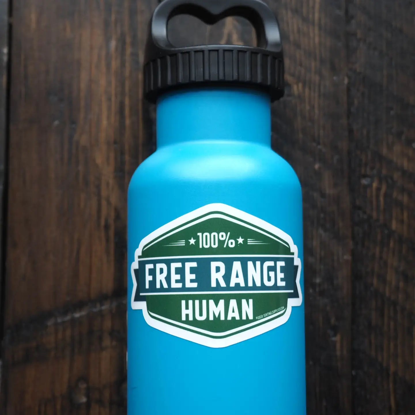 FREE RANGE sticker – MOSS