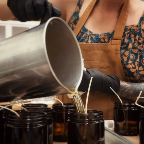 PACIFIC FOREST candle