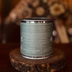 OLYMPIC NATIONAL FOREST candle