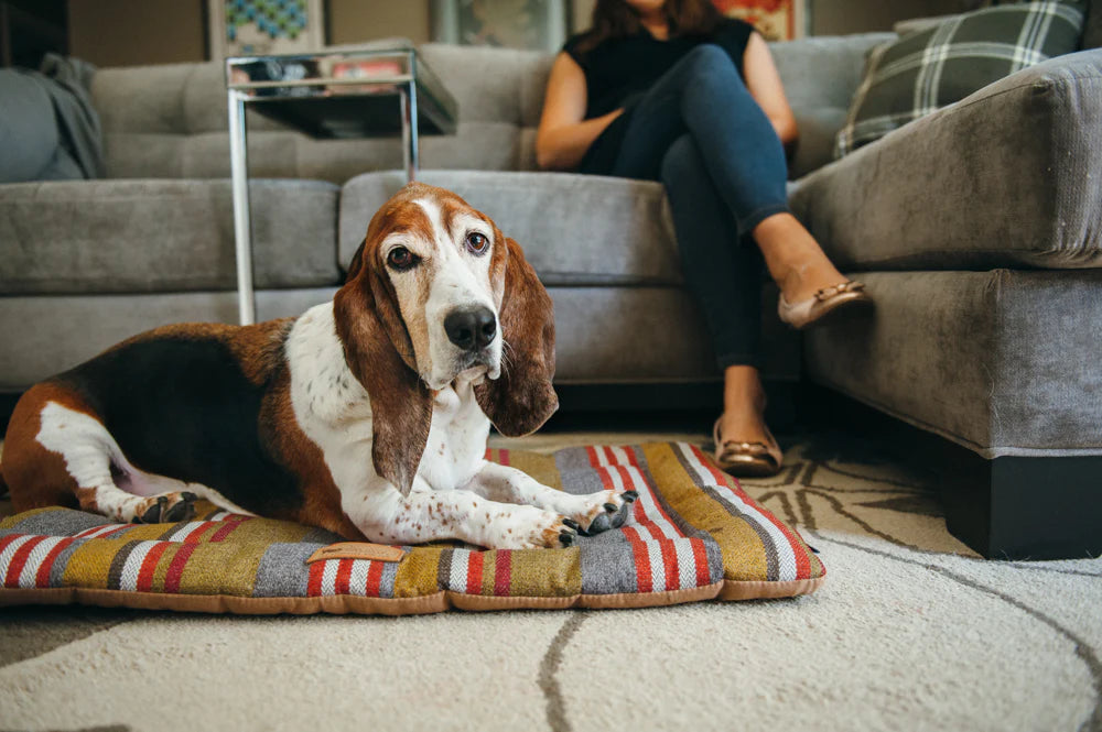 HORIZON dog bed