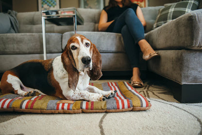 HORIZON dog bed