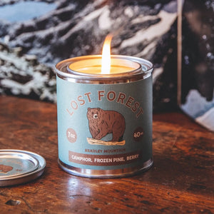 LOST FOREST candle