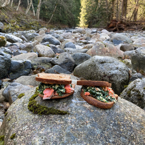 TRAIL MEALS wander cookbook