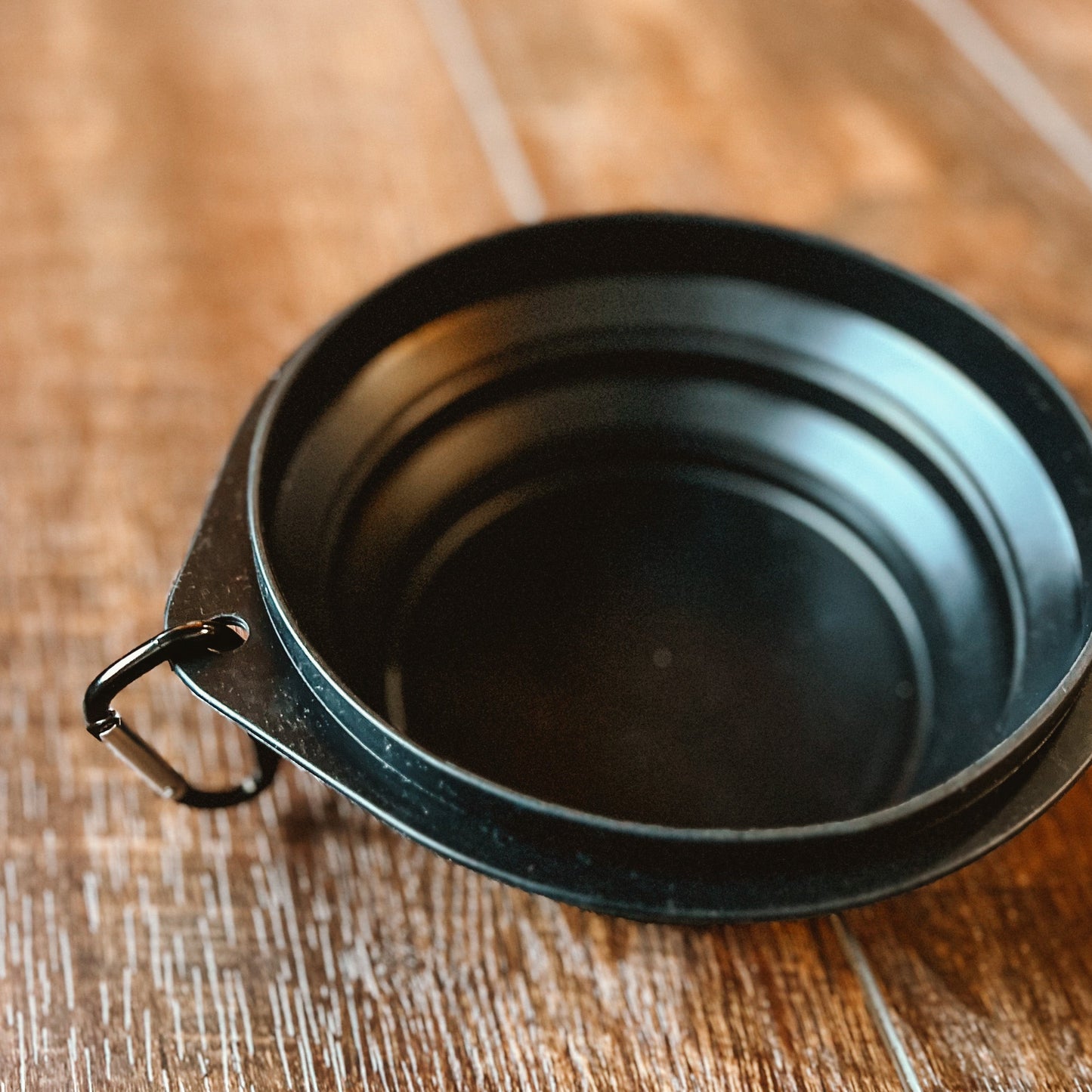 MOSS collapsible dog bowl